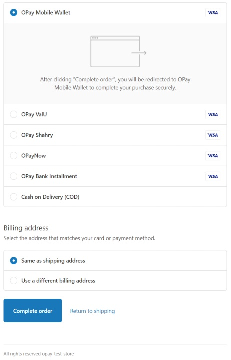 Shopify Payments