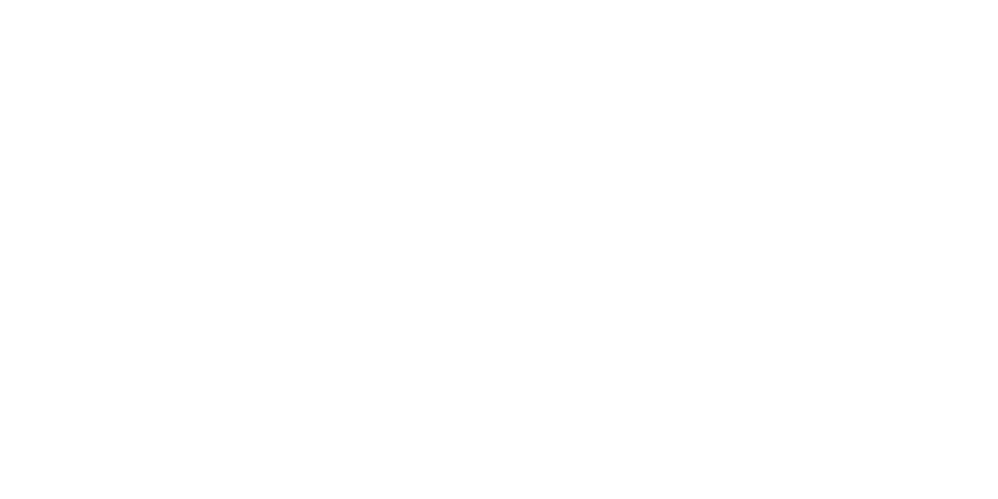 OPay Document